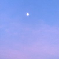 ryuuzai (@ryuuzai1) 's Twitter Profile