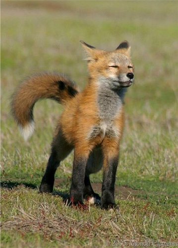 manhalf's profile picture. Just a man from 1 country...