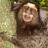 mauricioferraro's profile image