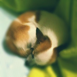 rx160's profile picture. 