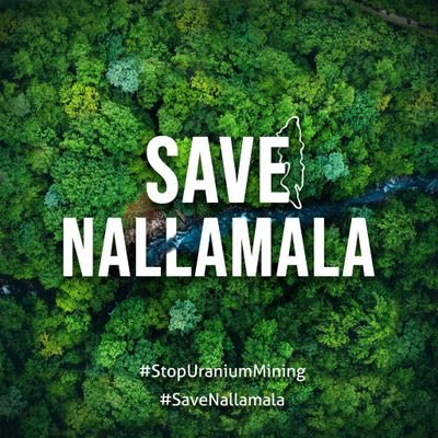 Iam_bekkem's profile picture. 