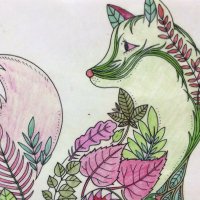@WideyFox (@wideyfox) 's Twitter Profile