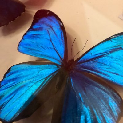 人工内耳を装用してロジャー愛用してる中学生を育ててます。今、振り返ると小さな頃から、聞こえづらさはあった気がするけど、新生児スクリーニングも、3歳児検診も、小学校の聴力検査もパスしてました。聴覚の問題は、心理士さんが発見。