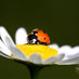 loretta schrijver (@lmschrijver) Twitter profile photo loretta schrijver (@lmschrijver) Twitter profile photo