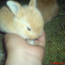 marlen reyes - @beatifull_prin - Twitter