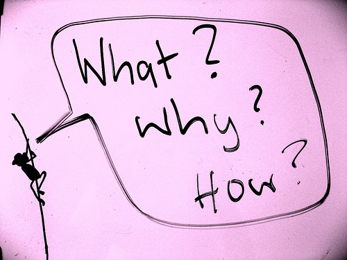 a lot of questions, few answers, the search is the best journey