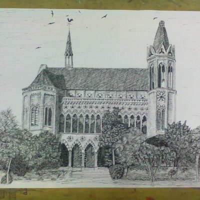 taimurha's profile picture. 