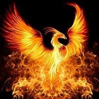 Phoenix (@aphoenixinflame) 's Twitter Profile Photo Phoenix (@aphoenixinflame) 's Twitter Profile Photo