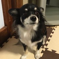 UZU (@x2ugcrbaytlew9h) 's Twitter Profile