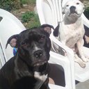 Emma Stokes - @Emma_S_Twit - Twitter