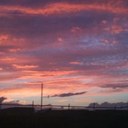 Elsa Robinson - @combscissors - Twitter