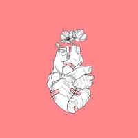 نَبض . (@ipulsee_) 's Twitter Profile
