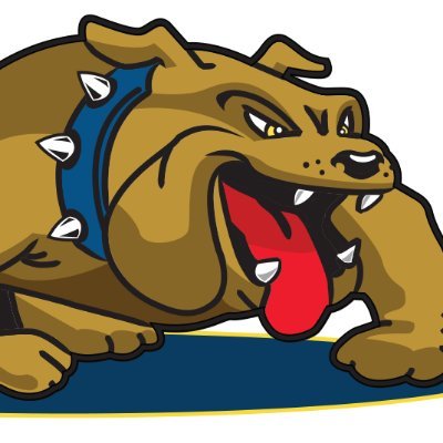Garfield Hts Schools Profile