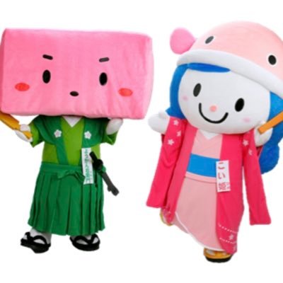 ようかん右衛門&こい姫【公式】さんのプロフィール画像
