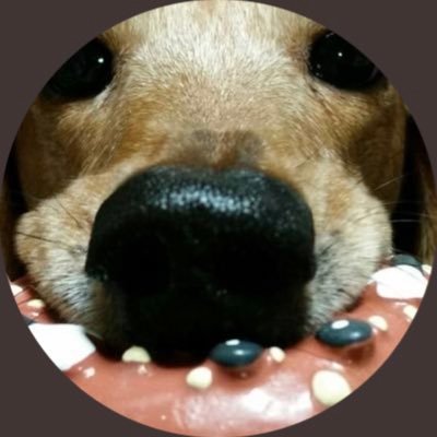 犬の鼻 Inunohana1039 Twitter