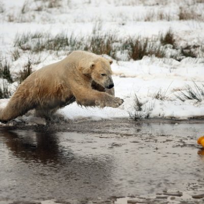 Don't let the fear of losing be greater than the excitement of #winning.