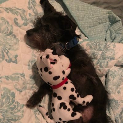 abigail89837400's profile picture. I am from the Midwest, but loving living in Nashville now. Anything from tequila to sewing will catch my interest.