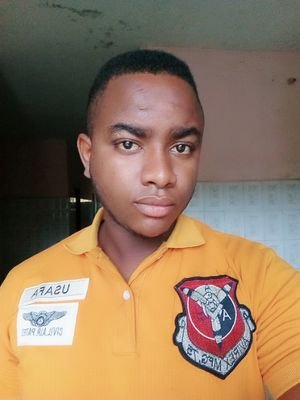 je me nomme Ibrahima ba étudiant en licence professionnelle en informatique actionnaire immobilier et amoureux du football