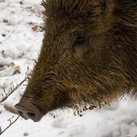 W.W. (@ideenundmehr) Twitter profile photo