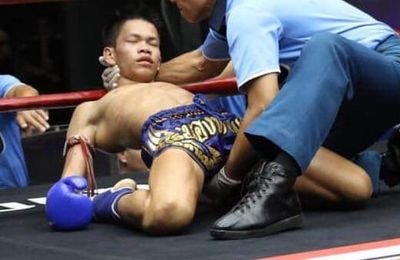 boxingknockout3's profile picture. boxing KO