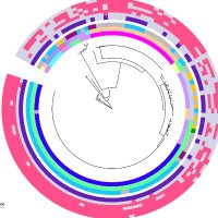 Anne-Catrin Uhlemann (@acu_idlab) 's Twitter Profile