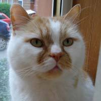 worldofsmudge's profile picture. 