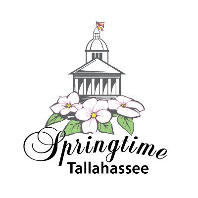 SpringtimeTally Profile Picture