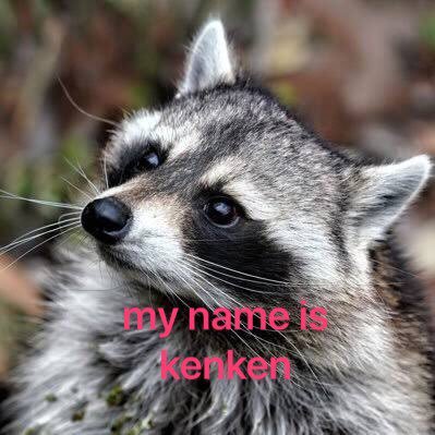 kenken_06_09's profile picture. どこぞの狸のサブ垢 とある2人の声優を応援するための垢 フォロバは信用できる人だけ アイコンは昔リア友が作ってくれた謎画像