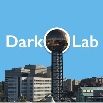 THE DARKO GROUP Profile