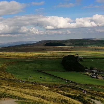 deborahireland8's profile picture. 