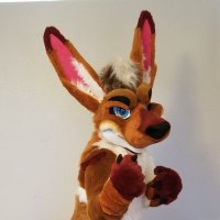 Taiyo Roo 🔜Japan🎌 (@taiyoroo) 's Twitter Profile