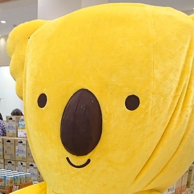 3人の子(9👧,7👦,3👶)がいる世帯主母ちゃん。多産DVと気付く。夫は家事育児せず、部屋に引きこもりFXに金を溶かすだけ、会話も成立しない寄生モンスター👾私は育児99%、生活費80%負担。弁護士4人に相談も私の方が年収高く難しい、離婚できても夫に一千万円取られ借金が残ると。八方塞がりで辛いです。