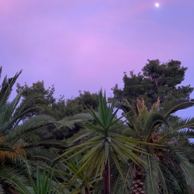 hihihel41574531's profile picture. 