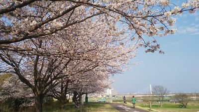 ramen_tamagawa's profile picture. 東京都府中市「府中市場＝大東京綜合卸売センター(無料駐車場800台🚗)」唯一のラーメン専門店🍜

【営業時間】平日/土曜=7〜14時、日曜/祝日=9～14時 　※定休日=水曜🍜

👆上記営業時間以外でもオープンしていることもあります🍜その都度SNS等でご案内します💻

#限定メニュー多数 #現金のみ