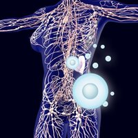 お肌のトラブル改善！ヒト幹細胞の百科事典 (@hitokansaibo) 's Twitter Profile Photo