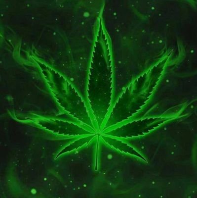 38976038f3a1452's profile picture. Smoking weed is a good thing🌿🚬🔞🕉️👌👍
Loves means never having to say you are sorry