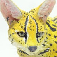 ãã£ã¡ãŒ@ïŸïœ²ïŸïœ¬ïœ°ïŸïœšïœ·ïŸïœïœ± (@aquarium_ninja) 's Twitter Profile Photo ãã£ã¡ãŒ@ïŸïœ²ïŸïœ¬ïœ°ïŸïœšïœ·ïŸïœïœ± (@aquarium_ninja) 's Twitter Profile Photo