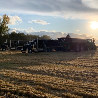 TebbFarms's profile picture. 