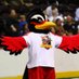 Rio The Roadrunner (@rioroadrunner) Twitter profile photo Rio The Roadrunner (@rioroadrunner) Twitter profile photo