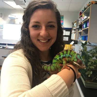 misskoplin's profile picture. | Elementary Teacher 📚 | Special Education 💙 | Trying to make a difference one student at a time 🌟| #waledchat contributor 🐳