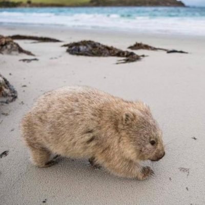 そよこ 始まり方が最高に好きな映画 最強のふたり 夜のパリ しっとりしたピアノ が フランス映画始まりますよ 感満点 からの Earth Wind Fire セプテンバー が最高 この映画絶対好き と確信したオープニングでした いつか 好き