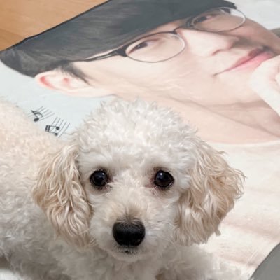 xiumei79's profile picture. 너를만나...勝たなくてもいい、負けないことが大事！真っ直ぐ前を向いてこの道を歩いて行こう💜 結果は後からついてくるよ、いつも感謝の心で... 歌手ソン・シギョンさんが好きです🤓🎶