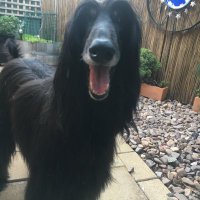 Peter K (@pmfk57) 's Twitter Profile Photo