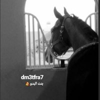 بنت البدو.. (@dm3tfra7) 's Twitter Profile