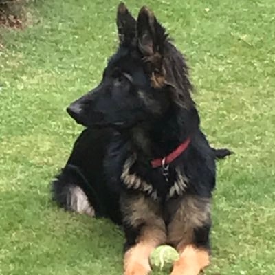 littleseapark's profile picture. 