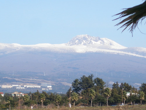 Airpms's profile picture. 건설회사  근무중   건축시공기술사  노력은 결코 배신을 하지 않는다.  건축시공기술사 및 건축 관련 문의하시면 성심껏 답변 하겠읍니다