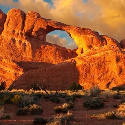 Joakim31282583's profile picture. 