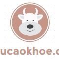susucaokhoe