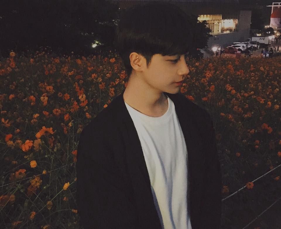 juxwoo's profile picture. punya el