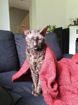 anim_jessica's profile picture. I'm an animator from Sweden :)